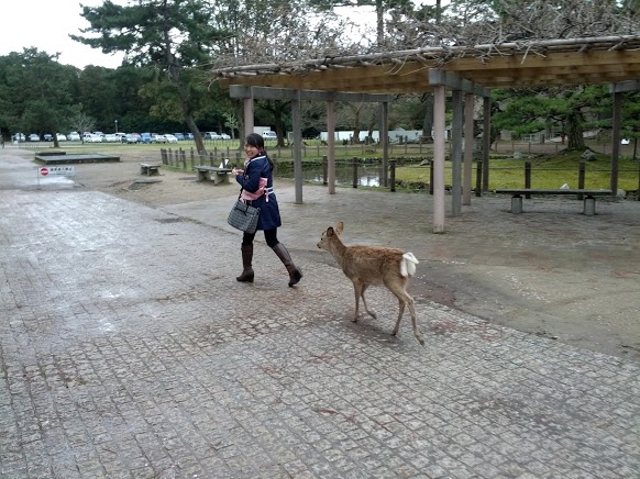 Nara