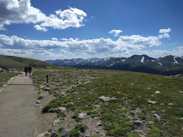 A view from the summit near Alpine Visitor Center.